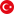 Türkçe